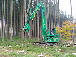 Starkholzernte maschinell
