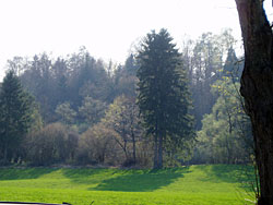 Waldbesitz Waldbesitz